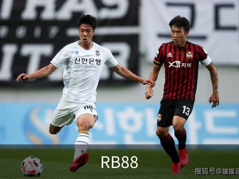 RB88介绍